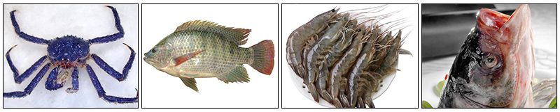 Double shaft fish meal press machine shrimp powder pressing machine